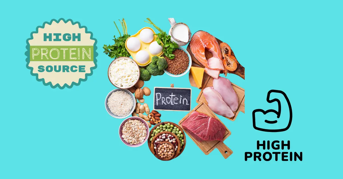 HIGH-PROTEIN-DIET-IMAGE