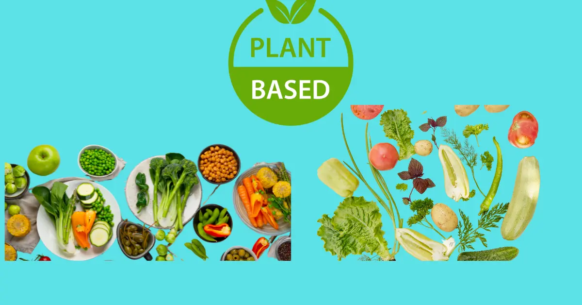 PLANT-BASED-DIET-IMAGE